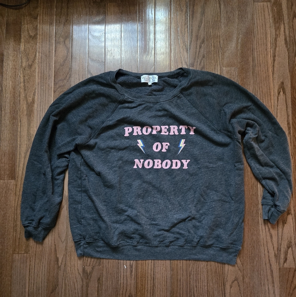Wildfox Comfy Charcoal Sweatshirt